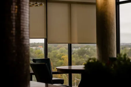 Motorized Shades