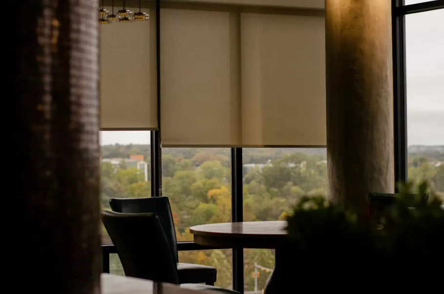 Motorized Shades